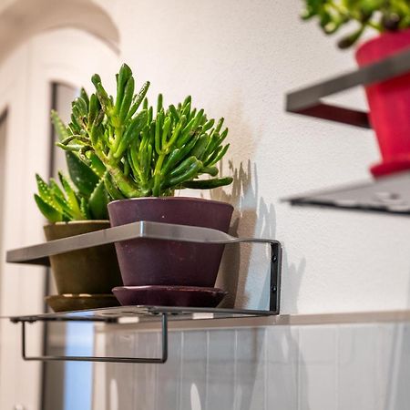 La Regia Apartment Кунео Екстер'єр фото